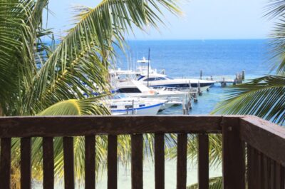 Palm Beach View